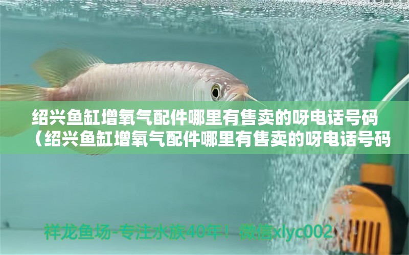 紹興魚(yú)缸增氧氣配件哪里有售賣(mài)的呀電話號(hào)碼（紹興魚(yú)缸增氧氣配件哪里有售賣(mài)的呀電話號(hào)碼是多少）