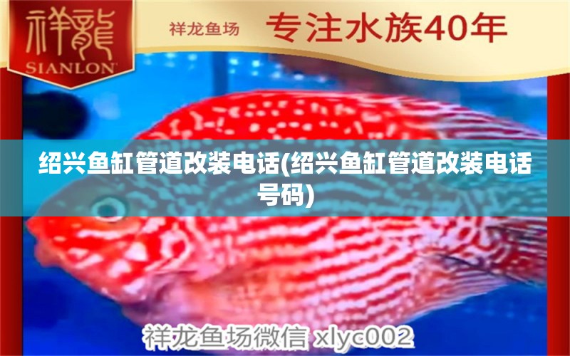 紹興魚缸管道改裝電話(紹興魚缸管道改裝電話號碼) 水族維護(hù)服務(wù)（上門）