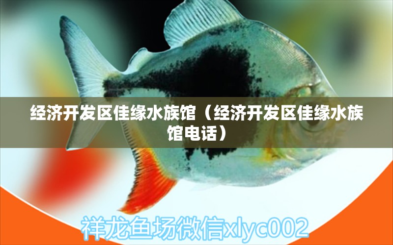 經(jīng)濟(jì)開發(fā)區(qū)佳緣水族館（經(jīng)濟(jì)開發(fā)區(qū)佳緣水族館電話） 全國(guó)水族館企業(yè)名錄