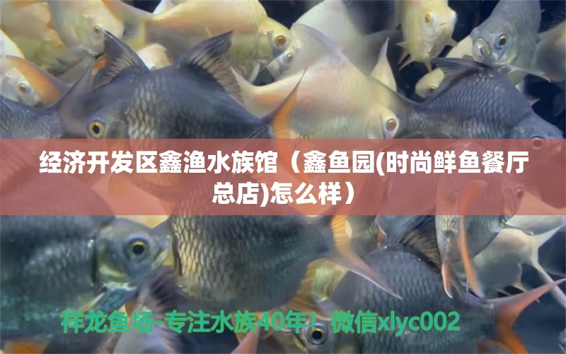 經(jīng)濟(jì)開發(fā)區(qū)鑫漁水族館（鑫魚園(時尚鮮魚餐廳總店)怎么樣）