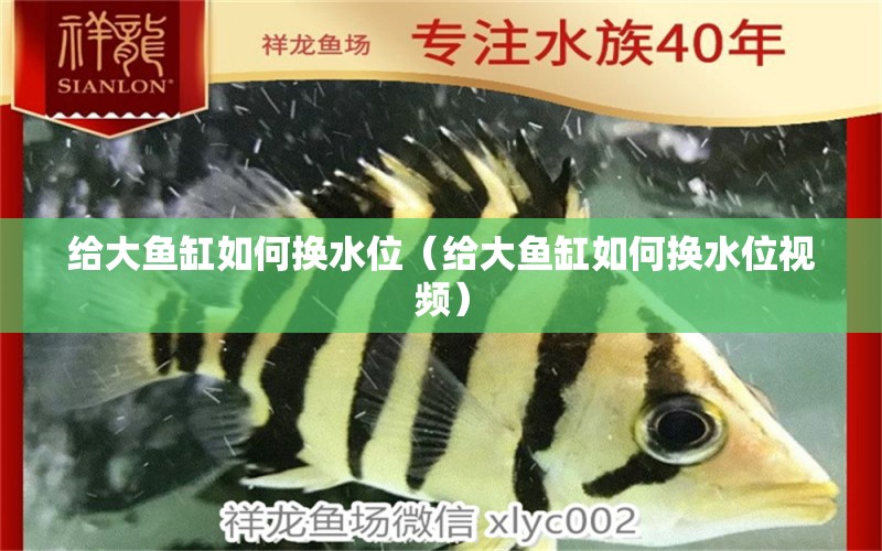 給大魚缸如何換水位（給大魚缸如何換水位視頻） 觀賞魚市場（混養(yǎng)魚）