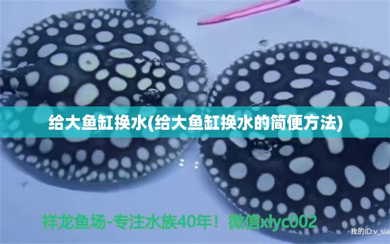 給大魚缸換水(給大魚缸換水的簡便方法) 元寶鳳凰魚