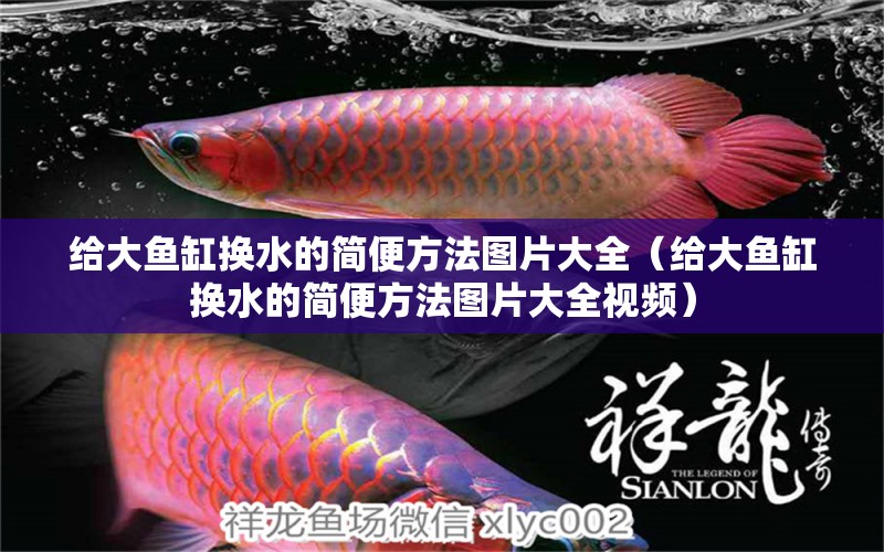 給大魚缸換水的簡便方法圖片大全（給大魚缸換水的簡便方法圖片大全視頻）