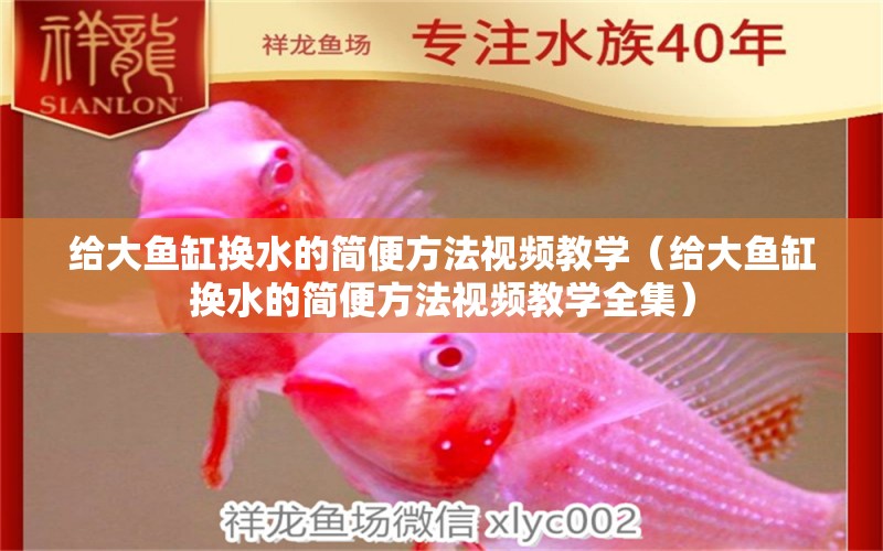 給大魚缸換水的簡便方法視頻教學（給大魚缸換水的簡便方法視頻教學全集） 祥龍水族濾材/器材