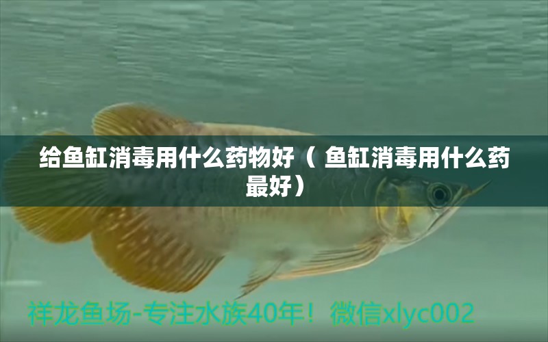 給魚缸消毒用什么藥物好（ 魚缸消毒用什么藥最好） 照明器材 第1張