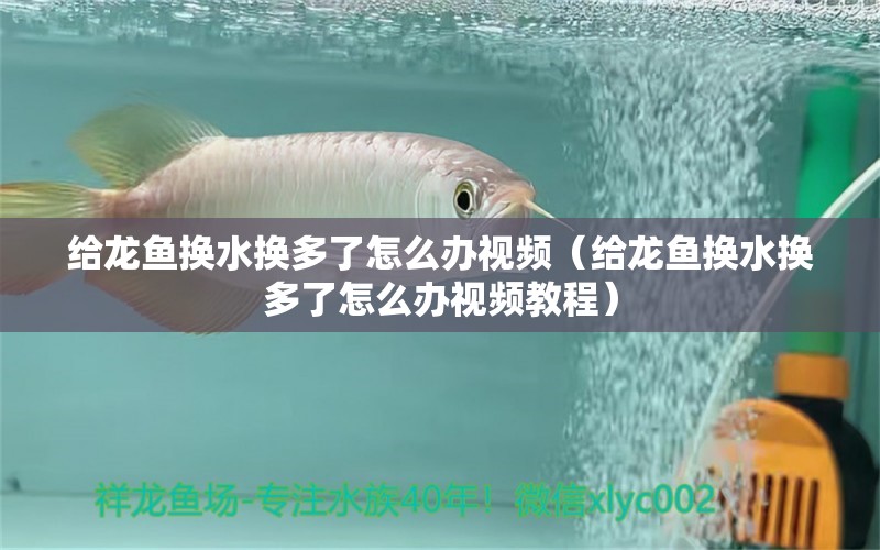 給龍魚(yú)換水換多了怎么辦視頻（給龍魚(yú)換水換多了怎么辦視頻教程）