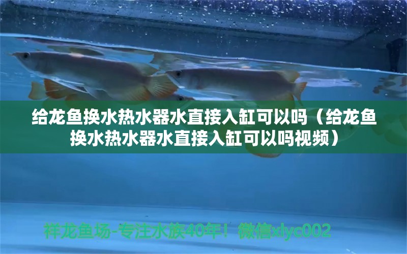 給龍魚(yú)換水熱水器水直接入缸可以嗎（給龍魚(yú)換水熱水器水直接入缸可以嗎視頻） 紅龍專(zhuān)用魚(yú)糧飼料