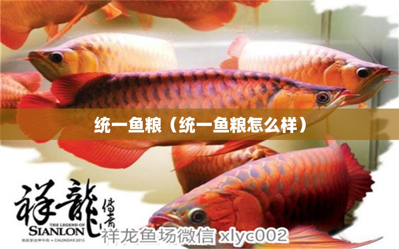 統(tǒng)一魚糧（統(tǒng)一魚糧怎么樣） 朱巴利魚