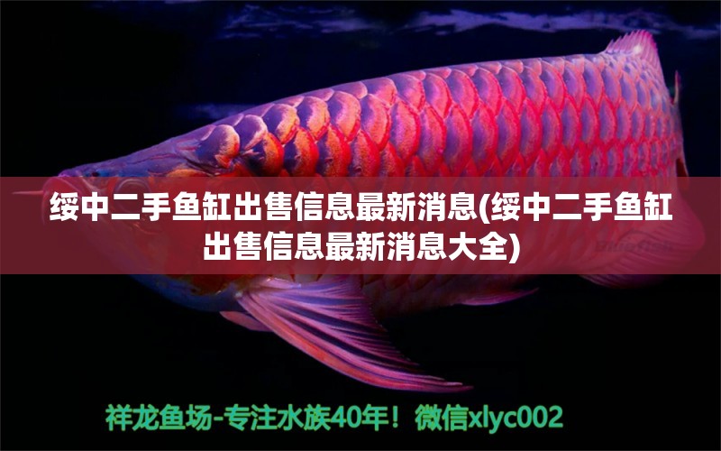 綏中二手魚缸出售信息最新消息(綏中二手魚缸出售信息最新消息大全) 古典過背金龍魚