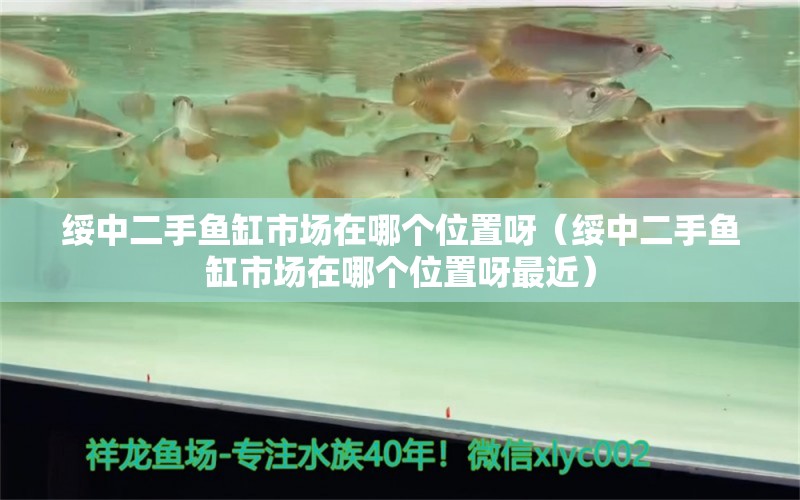 綏中二手魚缸市場在哪個位置呀（綏中二手魚缸市場在哪個位置呀最近） 祥龍水族醫(yī)院