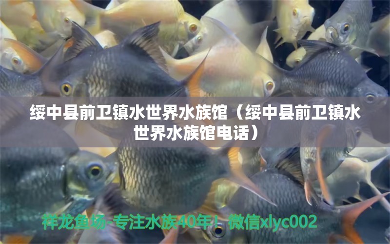 綏中縣前衛(wèi)鎮(zhèn)水世界水族館（綏中縣前衛(wèi)鎮(zhèn)水世界水族館電話）