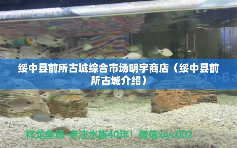 綏中縣前所古城綜合市場明宇商店（綏中縣前所古城介紹） 全國水族館企業(yè)名錄