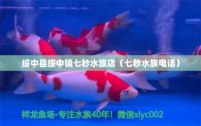 綏中縣綏中鎮(zhèn)七秒水族店（七秒水族電話） 全國水族館企業(yè)名錄