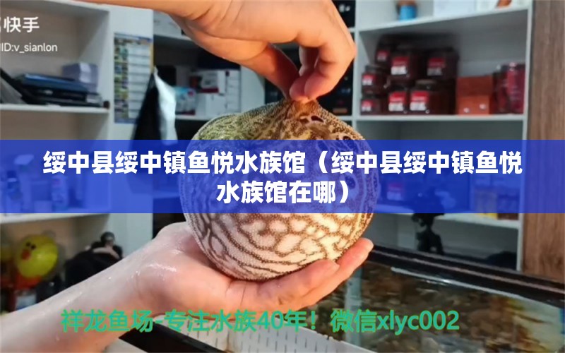 綏中縣綏中鎮(zhèn)魚悅水族館（綏中縣綏中鎮(zhèn)魚悅水族館在哪）