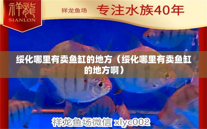 綏化哪里有賣魚缸的地方（綏化哪里有賣魚缸的地方?。? title=