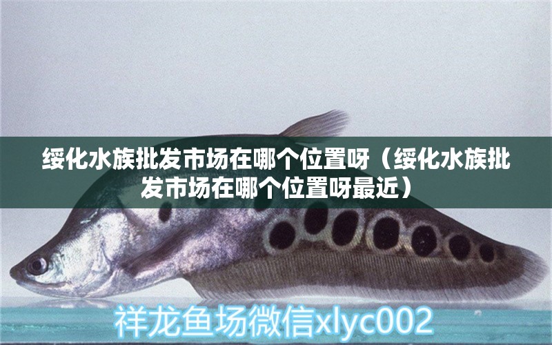 綏化水族批發(fā)市場(chǎng)在哪個(gè)位置呀（綏化水族批發(fā)市場(chǎng)在哪個(gè)位置呀最近） 觀賞魚水族批發(fā)市場(chǎng)