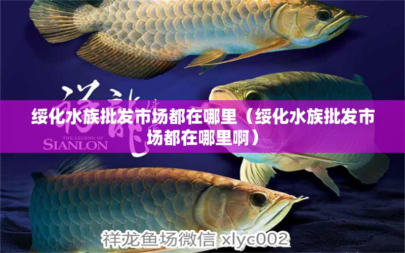 綏化水族批發(fā)市場(chǎng)都在哪里（綏化水族批發(fā)市場(chǎng)都在哪里?。?觀賞魚水族批發(fā)市場(chǎng)