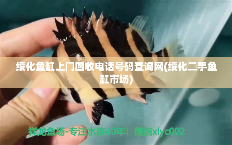 綏化魚缸上門回收電話號(hào)碼查詢網(wǎng)(綏化二手魚缸市場) 印尼紅龍魚