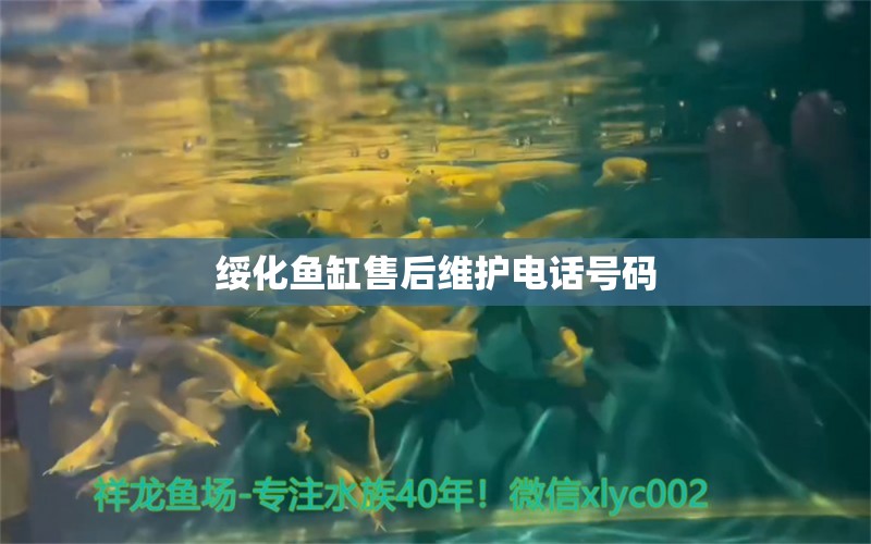 綏化魚缸售后維護(hù)電話號(hào)碼 其他品牌魚缸