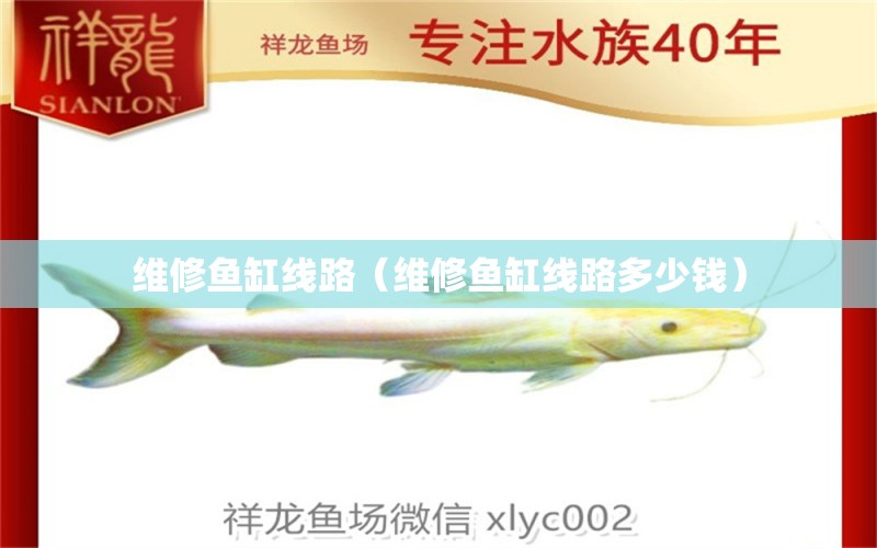 維修魚缸線路（維修魚缸線路多少錢）