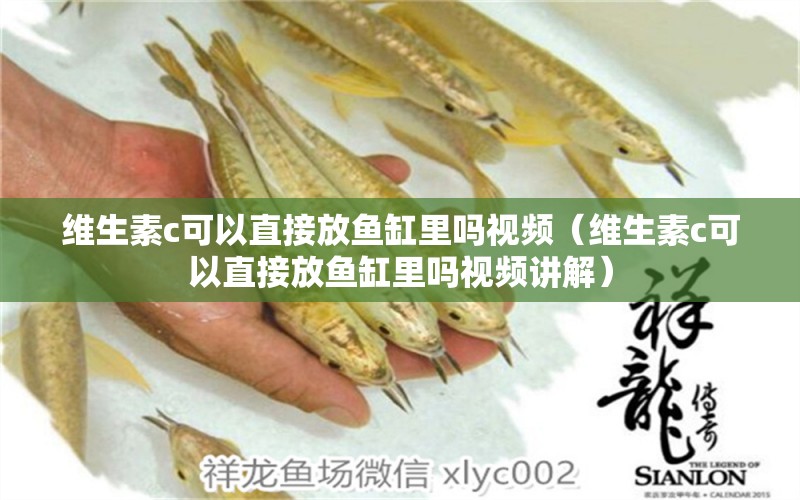 維生素c可以直接放魚缸里嗎視頻（維生素c可以直接放魚缸里嗎視頻講解） 觀賞魚市場（混養(yǎng)魚）