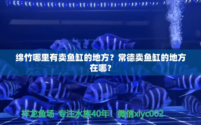 綿竹哪里有賣魚缸的地方？常德賣魚缸的地方在哪？ 細線銀板魚苗