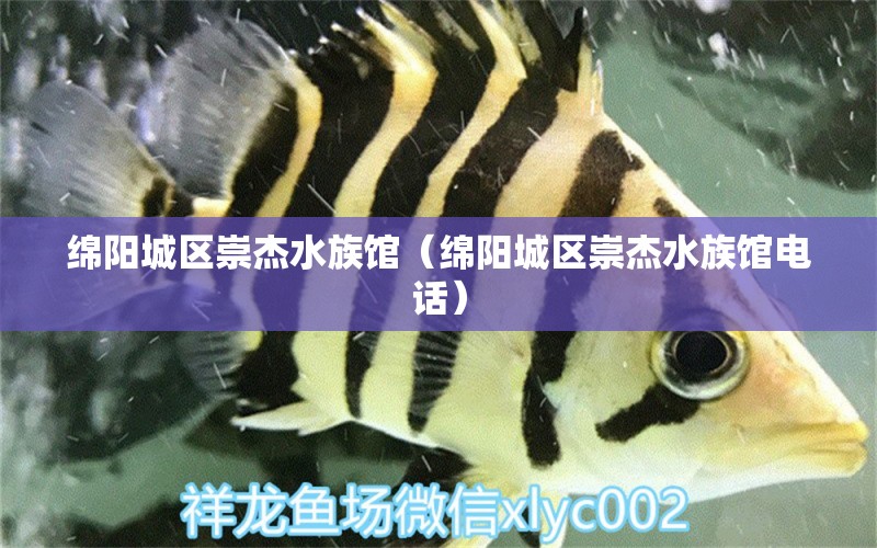 綿陽城區(qū)崇杰水族館（綿陽城區(qū)崇杰水族館電話） 全國水族館企業(yè)名錄