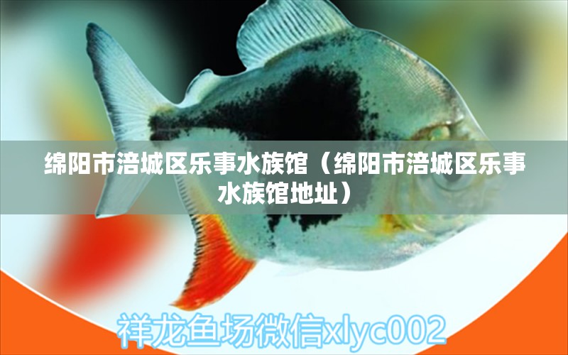 綿陽市涪城區(qū)樂事水族館（綿陽市涪城區(qū)樂事水族館地址）