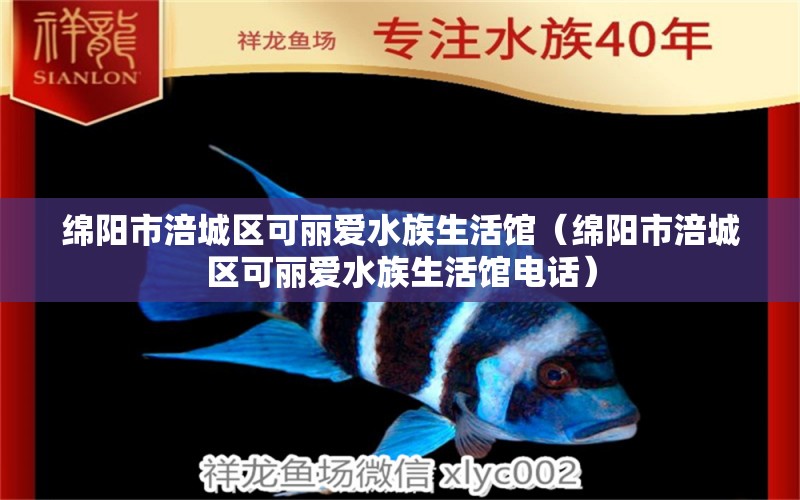 綿陽(yáng)市涪城區(qū)可麗愛(ài)水族生活館（綿陽(yáng)市涪城區(qū)可麗愛(ài)水族生活館電話）