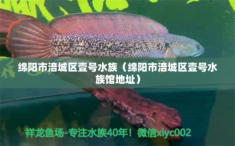 綿陽市涪城區(qū)壹號水族（綿陽市涪城區(qū)壹號水族館地址） 全國水族館企業(yè)名錄