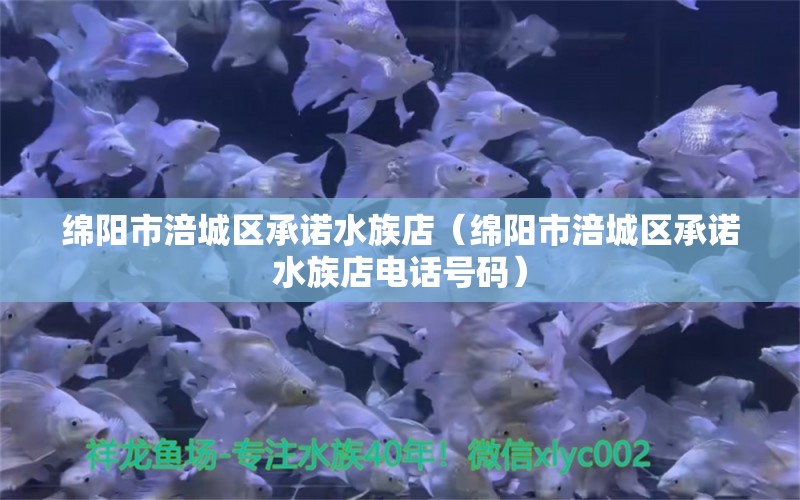 綿陽市涪城區(qū)承諾水族店（綿陽市涪城區(qū)承諾水族店電話號碼）