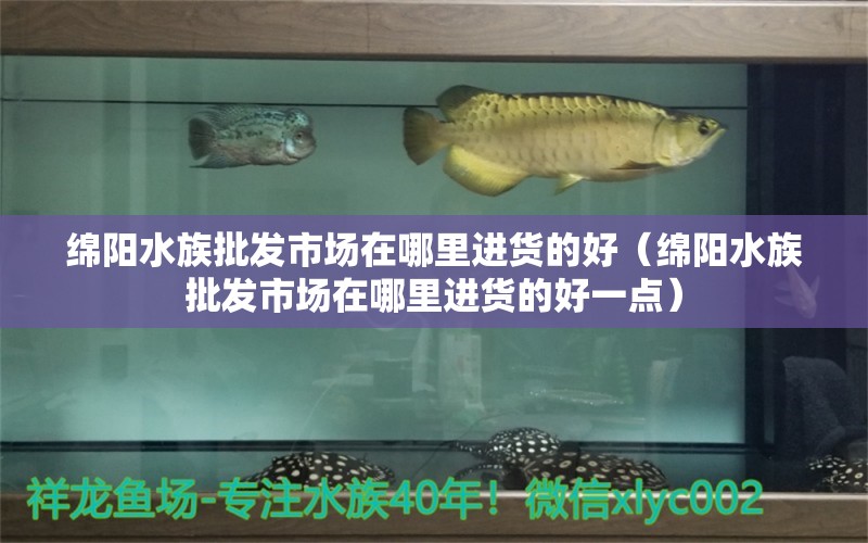 綿陽水族批發(fā)市場(chǎng)在哪里進(jìn)貨的好（綿陽水族批發(fā)市場(chǎng)在哪里進(jìn)貨的好一點(diǎn)） 觀賞魚水族批發(fā)市場(chǎng)