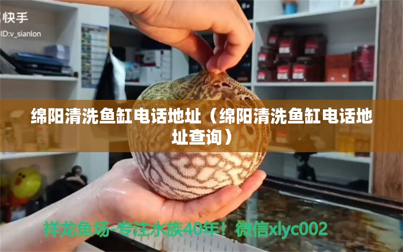 綿陽清洗魚缸電話地址（綿陽清洗魚缸電話地址查詢）