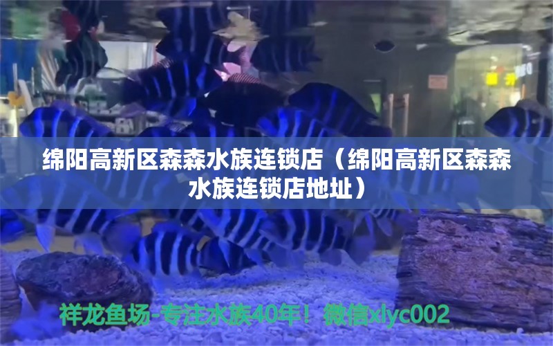 綿陽(yáng)高新區(qū)森森水族連鎖店（綿陽(yáng)高新區(qū)森森水族連鎖店地址）