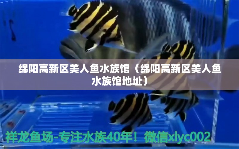 綿陽高新區(qū)美人魚水族館（綿陽高新區(qū)美人魚水族館地址）