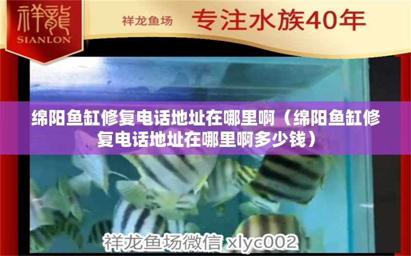 綿陽魚缸修復電話地址在哪里?。ňd陽魚缸修復電話地址在哪里啊多少錢）