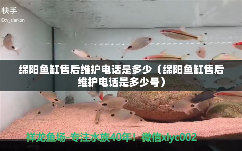 綿陽魚缸售后維護電話是多少（綿陽魚缸售后維護電話是多少號） 其他品牌魚缸