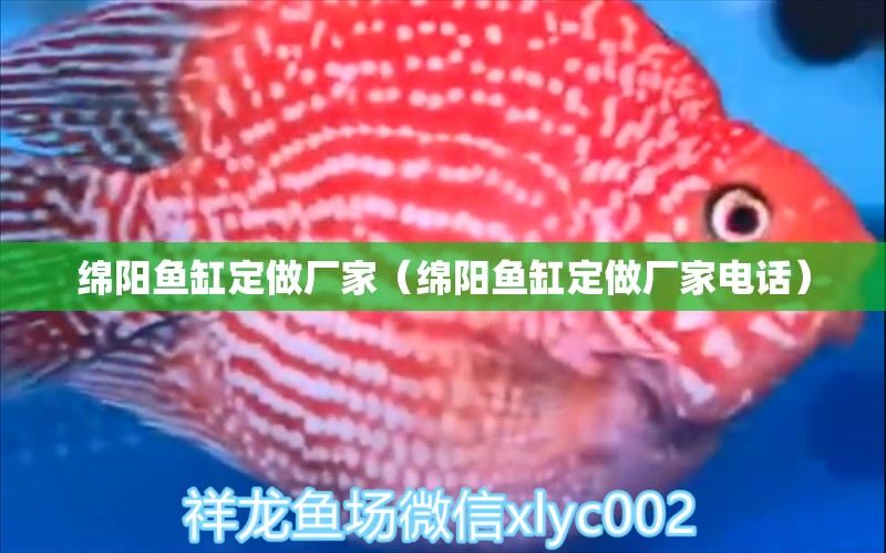 綿陽魚缸定做廠家（綿陽魚缸定做廠家電話） 其他品牌魚缸