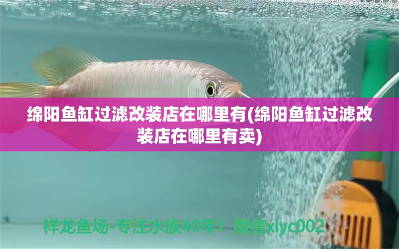 綿陽魚缸過濾改裝店在哪里有(綿陽魚缸過濾改裝店在哪里有賣) 藍(lán)底過背金龍魚