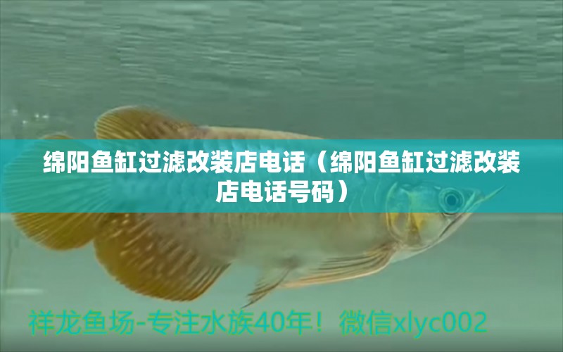 綿陽魚缸過濾改裝店電話（綿陽魚缸過濾改裝店電話號碼） 祥龍水族醫(yī)院