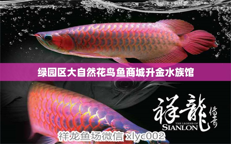 綠園區(qū)大自然花鳥魚商城升金水族館