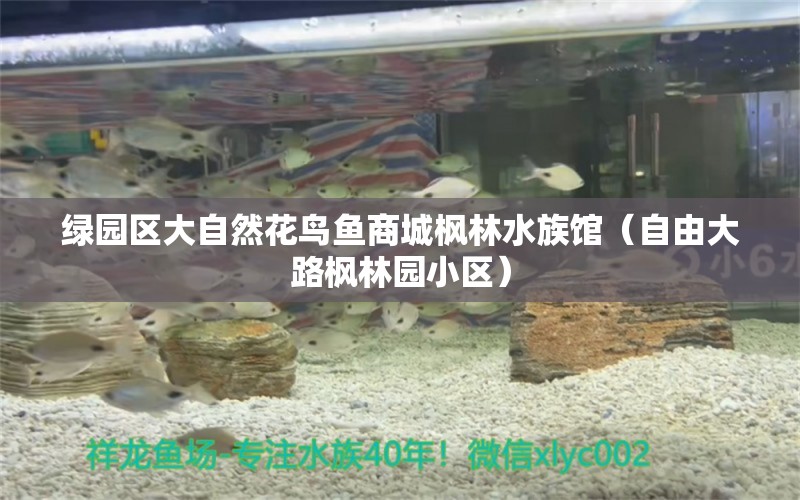 綠園區(qū)大自然花鳥魚商城楓林水族館（自由大路楓林園小區(qū)）