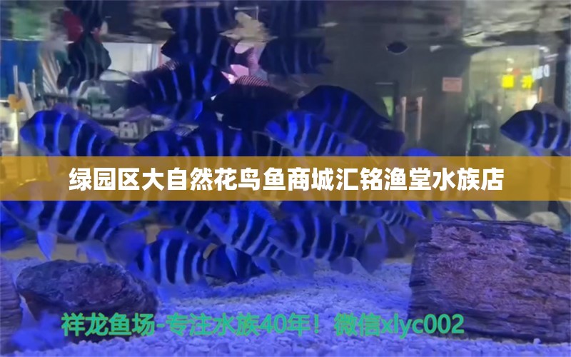 綠園區(qū)大自然花鳥魚商城匯銘漁堂水族店