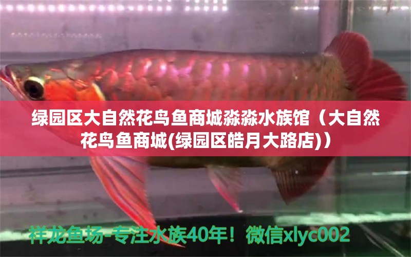 綠園區(qū)大自然花鳥魚商城淼淼水族館（大自然花鳥魚商城(綠園區(qū)皓月大路店)）