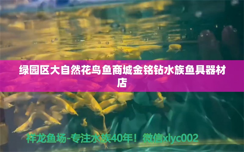 綠園區(qū)大自然花鳥魚商城金銘鉆水族魚具器材店