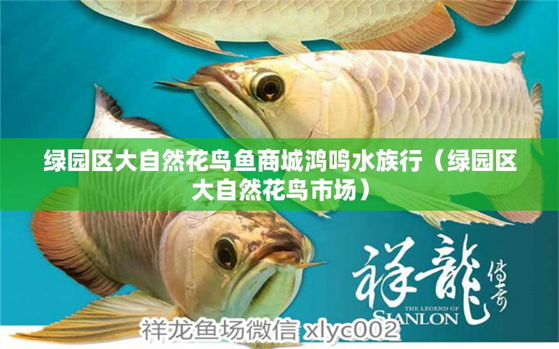 綠園區(qū)大自然花鳥魚商城鴻鳴水族行（綠園區(qū)大自然花鳥市場）