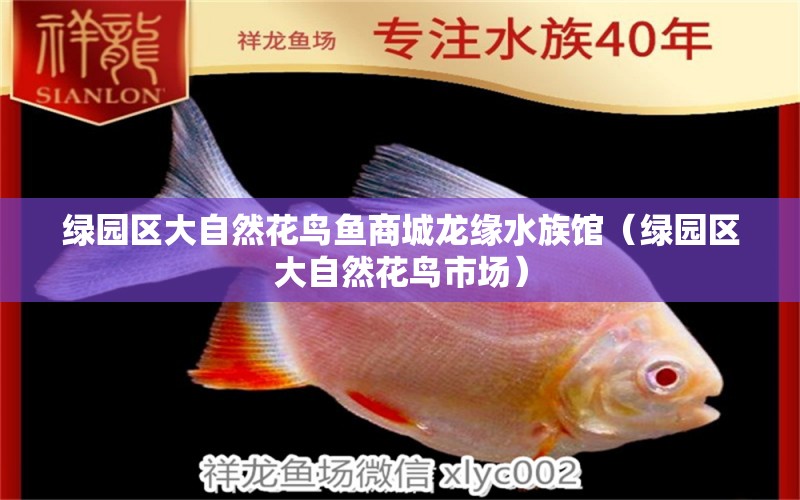 綠園區(qū)大自然花鳥魚商城龍緣水族館（綠園區(qū)大自然花鳥市場）