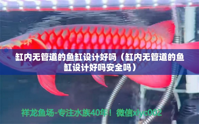 缸內無管道的魚缸設計好嗎（缸內無管道的魚缸設計好嗎安全嗎）