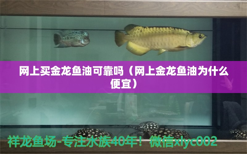 網(wǎng)上買金龍魚油可靠嗎（網(wǎng)上金龍魚油為什么便宜）