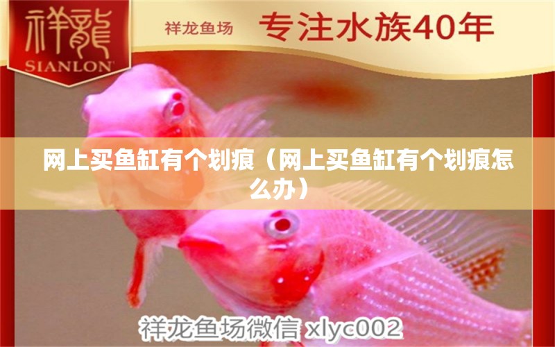 網(wǎng)上買魚缸有個(gè)劃痕（網(wǎng)上買魚缸有個(gè)劃痕怎么辦） 黑金魟魚